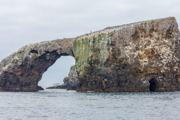 Anacapa Island Arch, Channel Islands National Park
