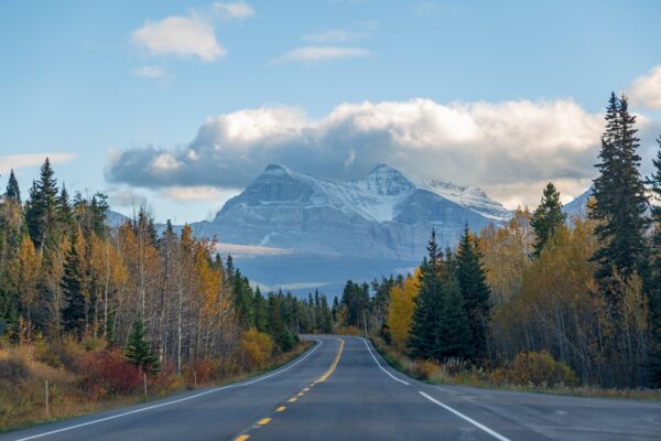 Alberta 6 heading back to the United States