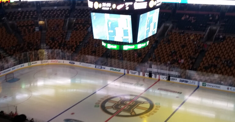 Red Wings in Boston