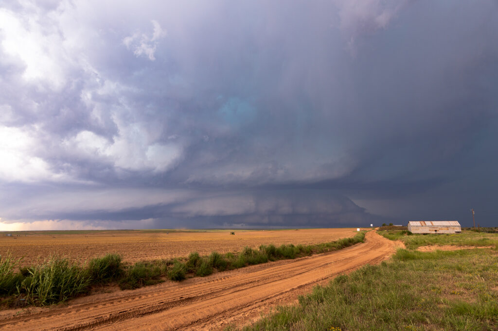 Big Bell shaped meso